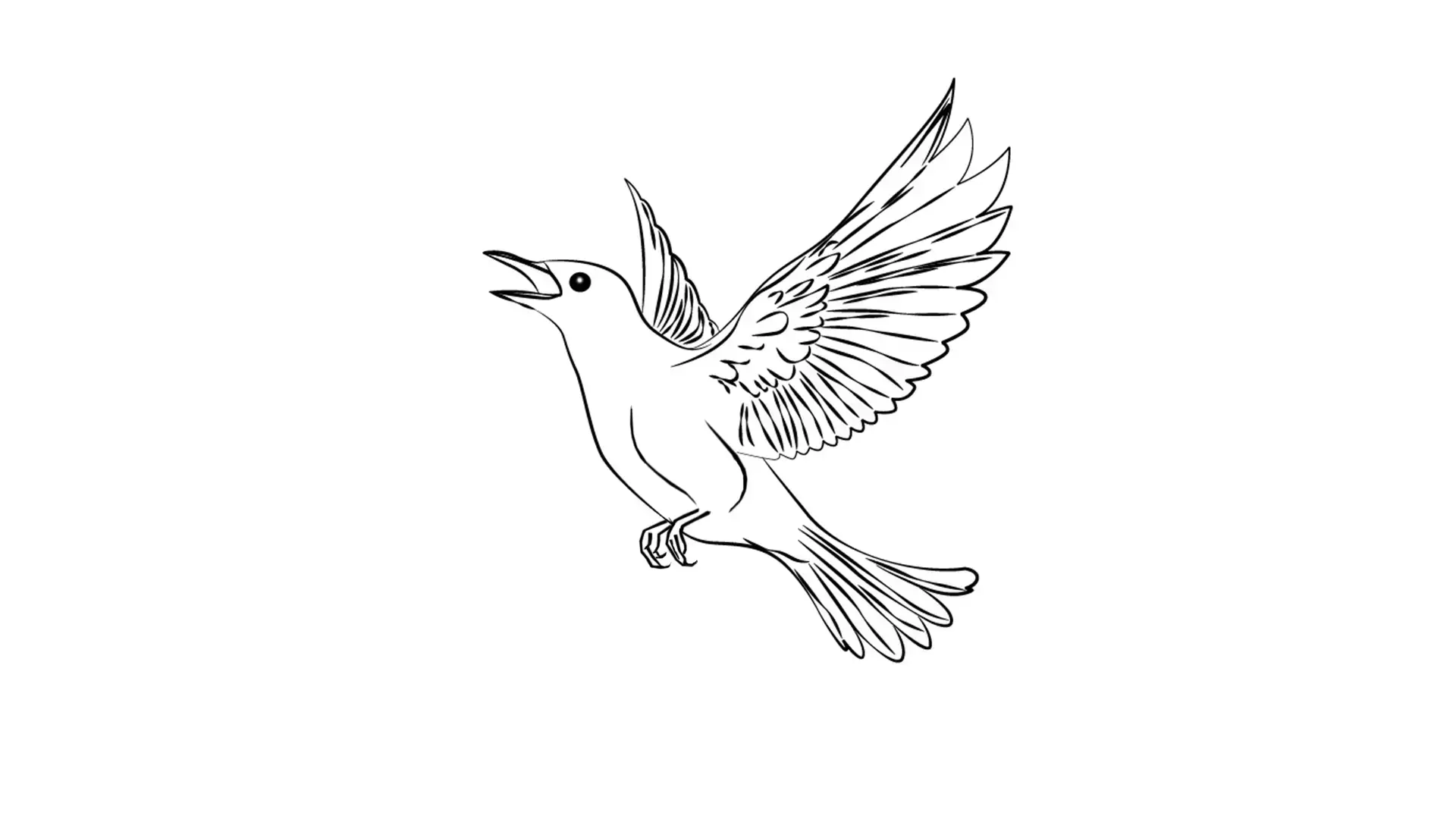Descubre Cómo Dibujar un Pájaro Volando: Guía Para principiantes