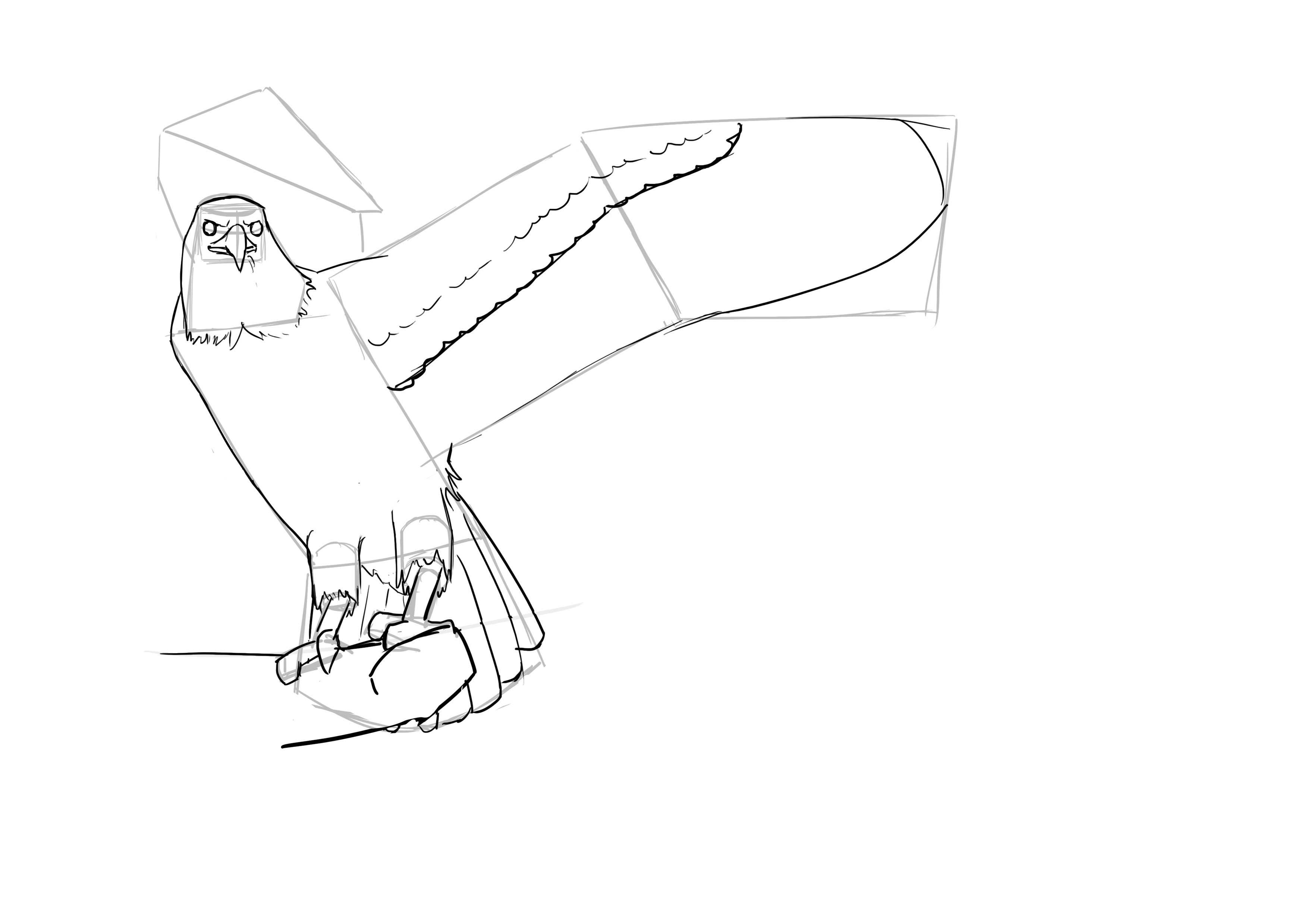 Dessin des ailes de l'oiseau 3