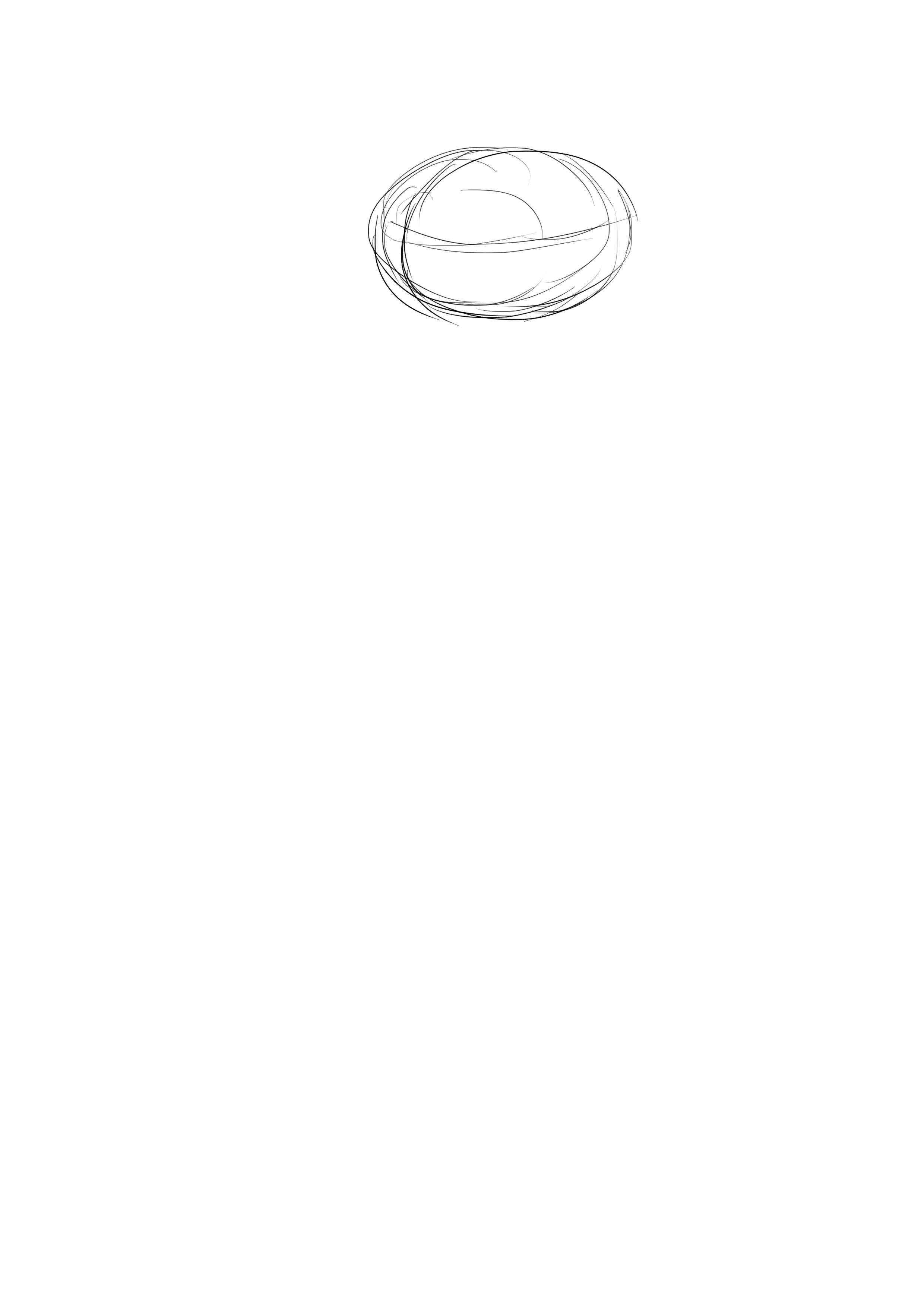 Dessin de la tête du rouge gorge
