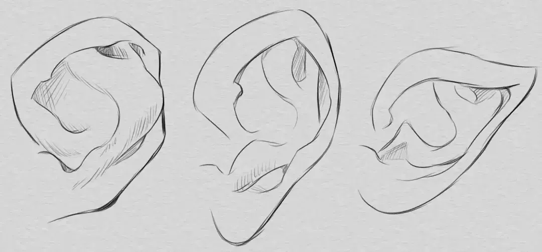 Aprende a Dibujar una Oreja: Fácil Paso a Paso