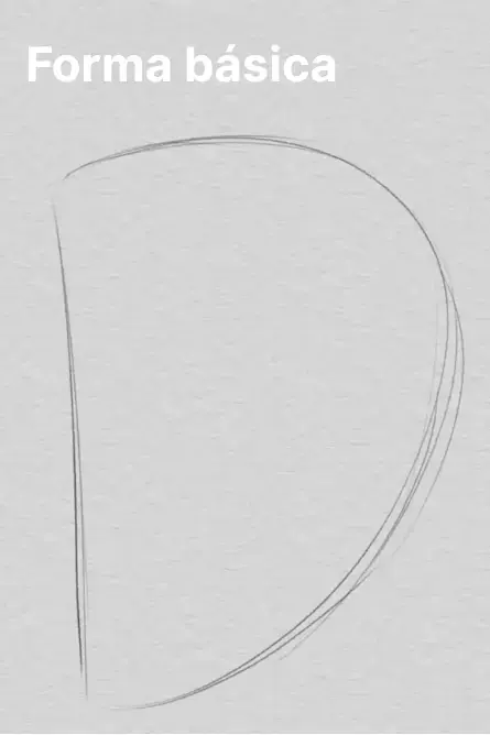 dibujar la forma básica de una oreja