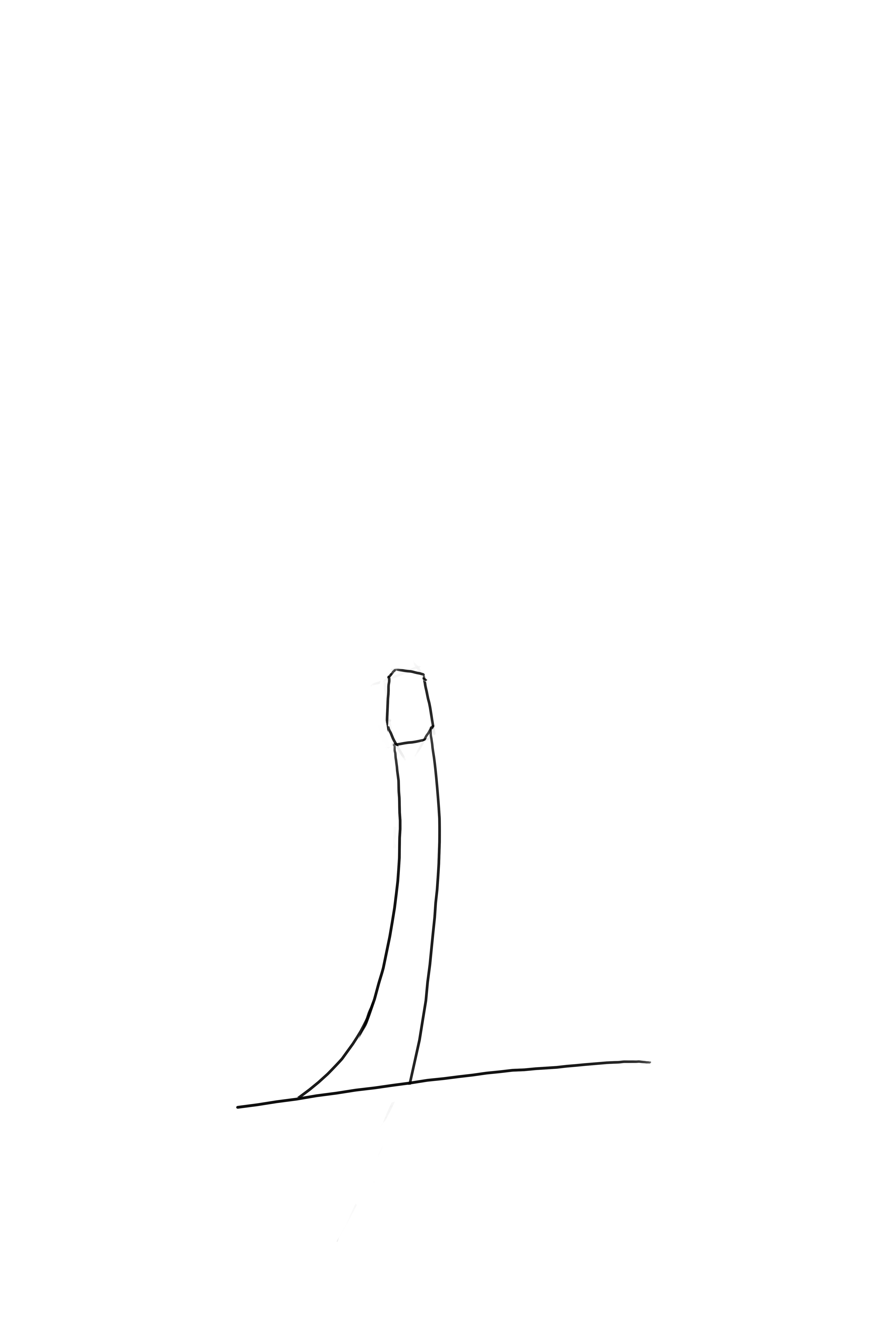 dessiner la cime du palmier 1