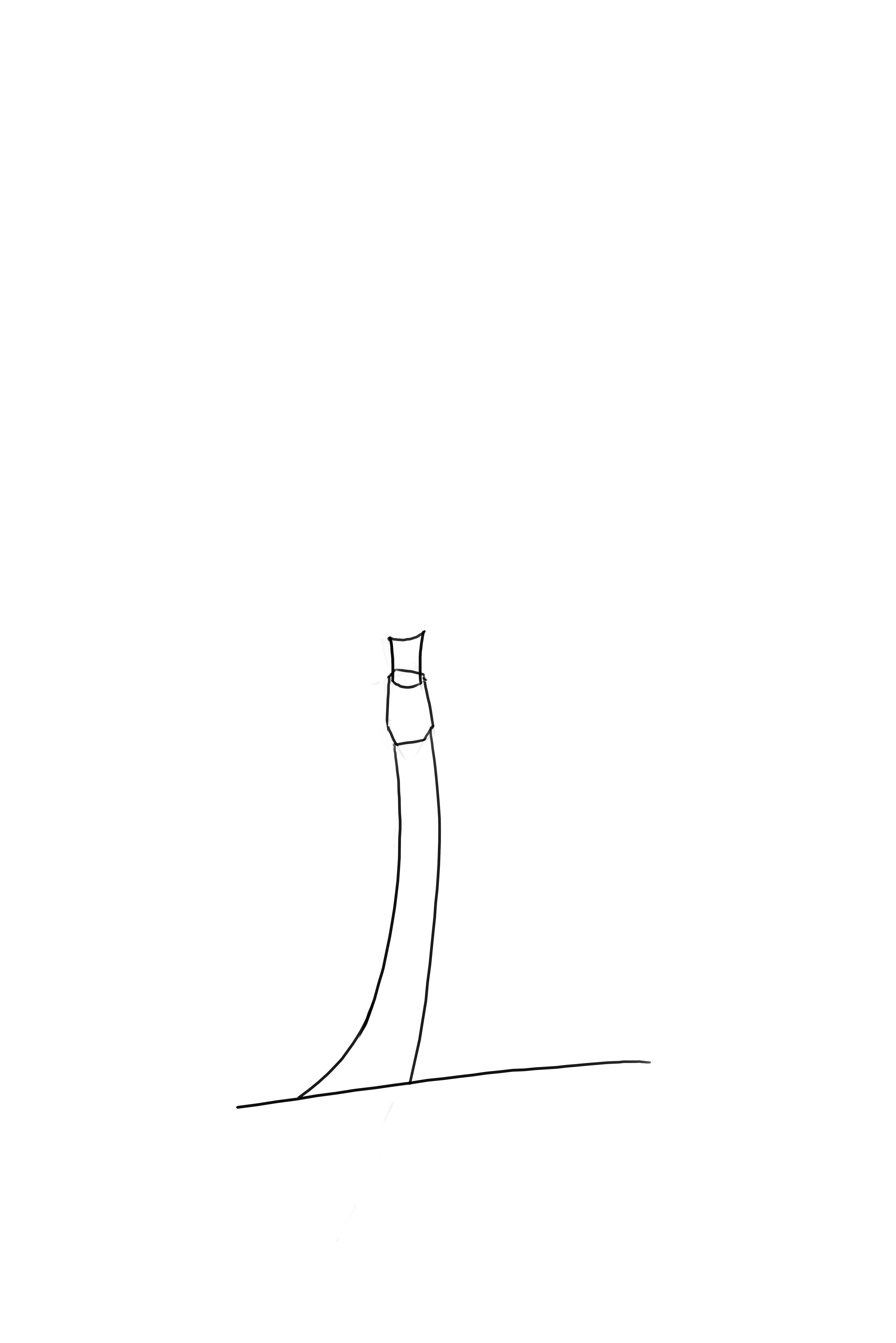dessiner la cime du palmier 2