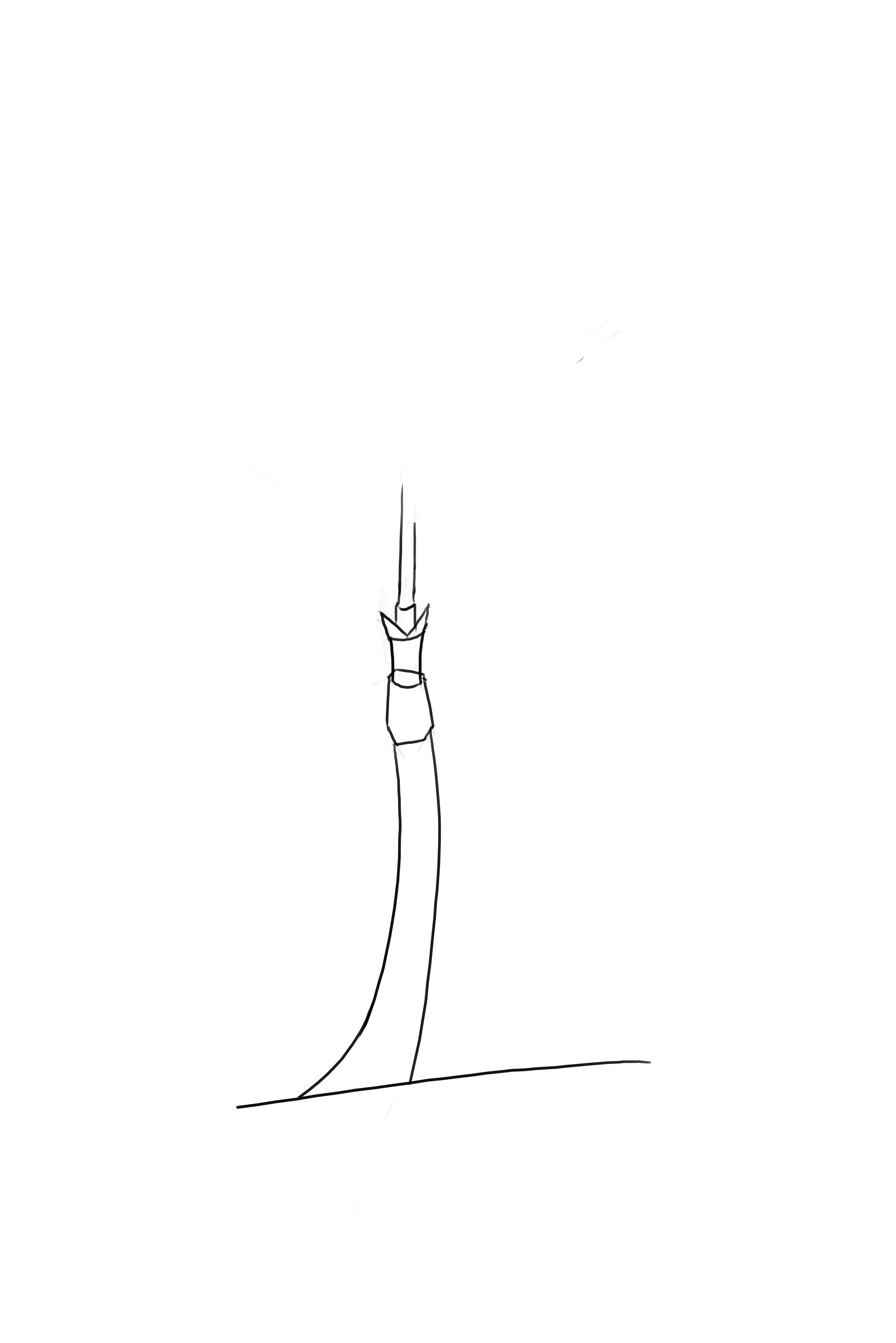 dessiner la cime du palmier 4