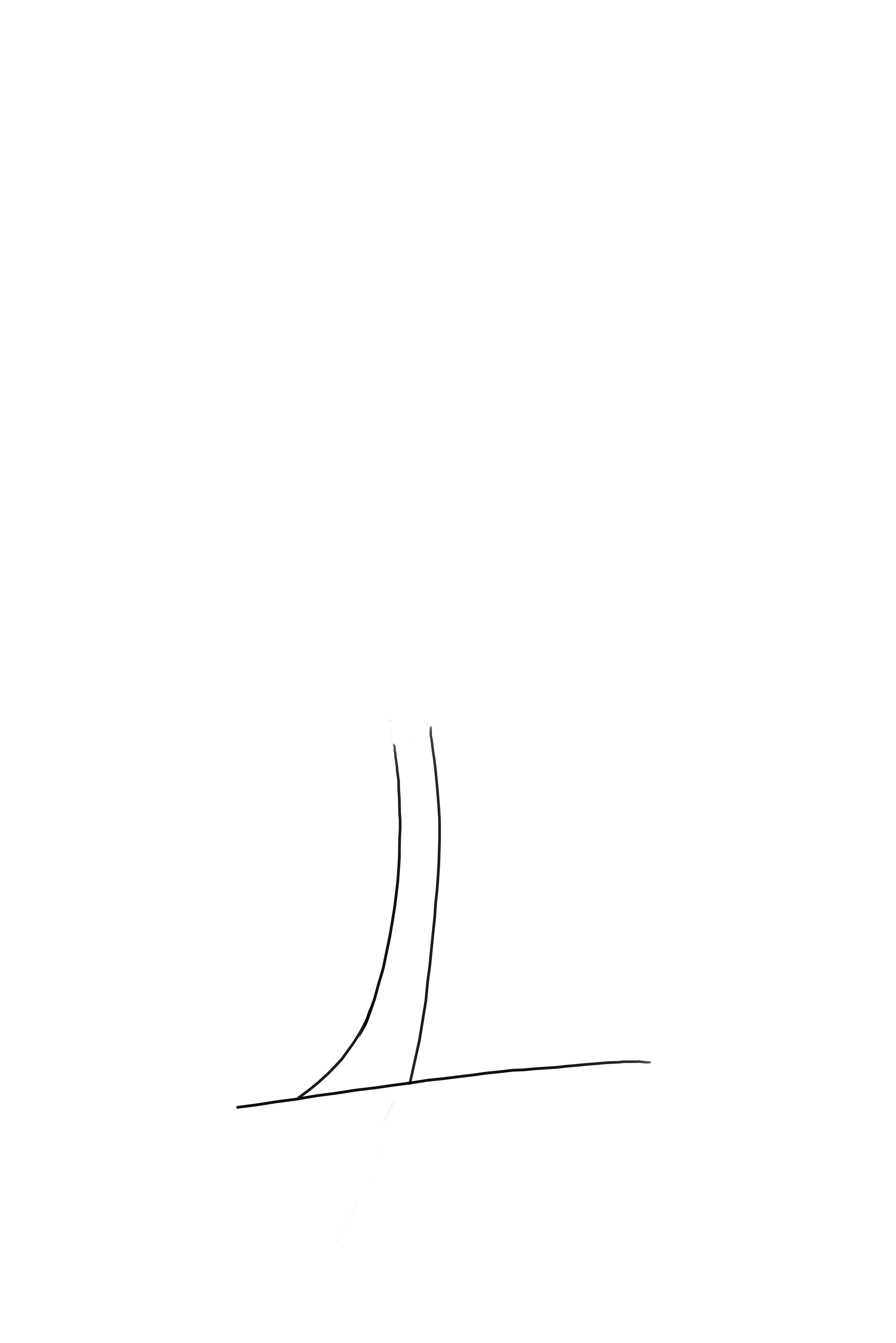 dessiner le tronc du palmier