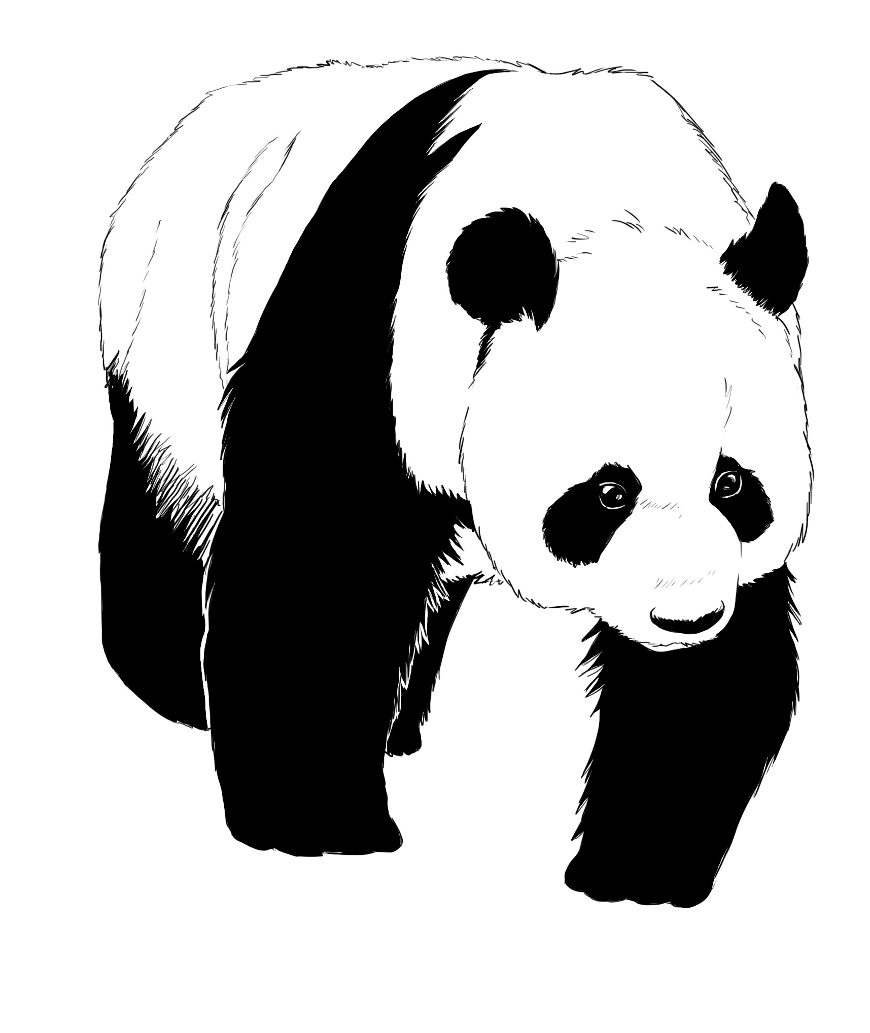 Cómo dibujar un panda