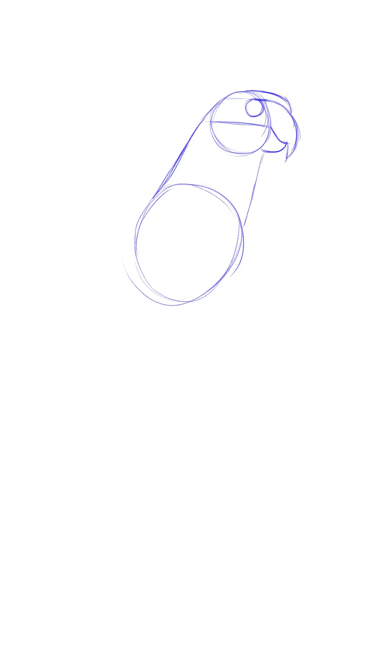 dessiner le visage d’un perroquet