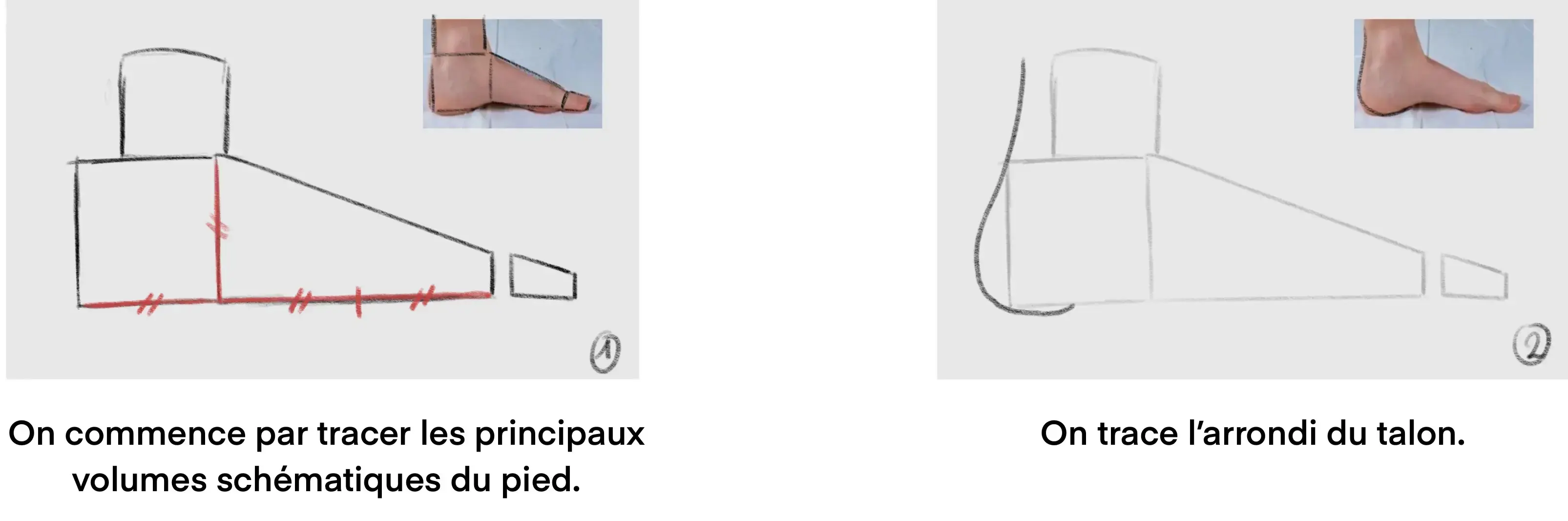 dessiner les volumes d’un pied de profil