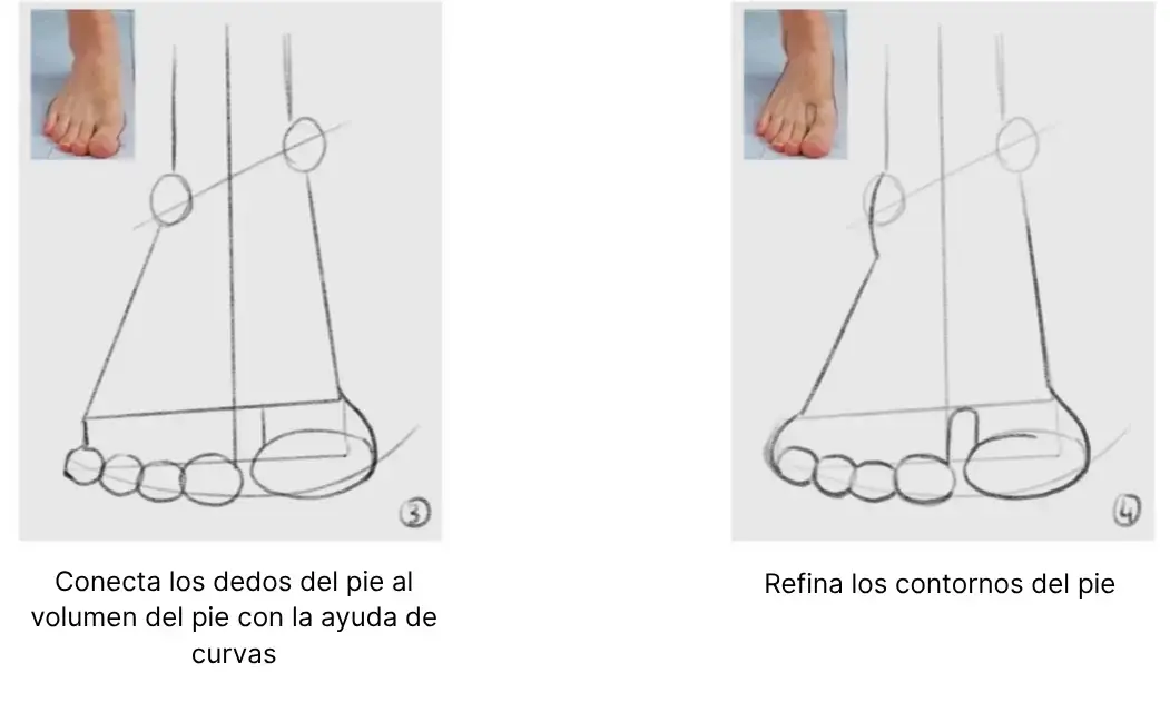 dibujar los dedos de un pie de frente
