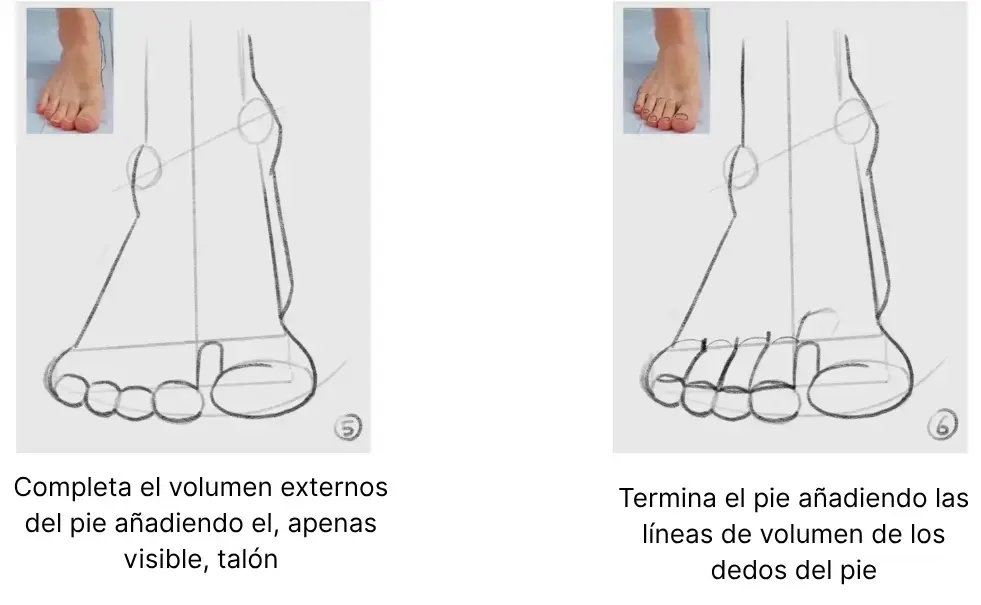 dibujar un pie de frente
