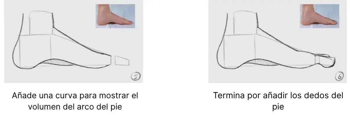 dibujar un pie de perfil