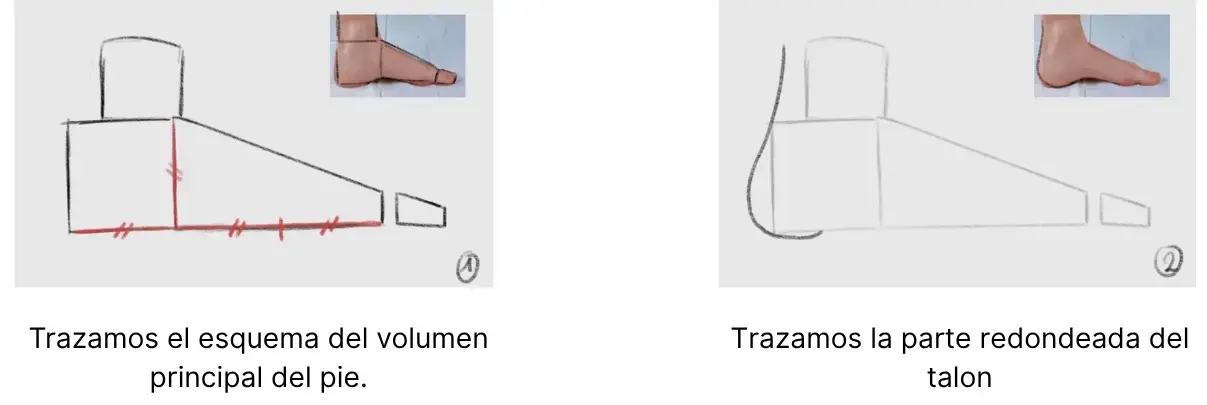 dibujar los volúmenes de un pie de perfil