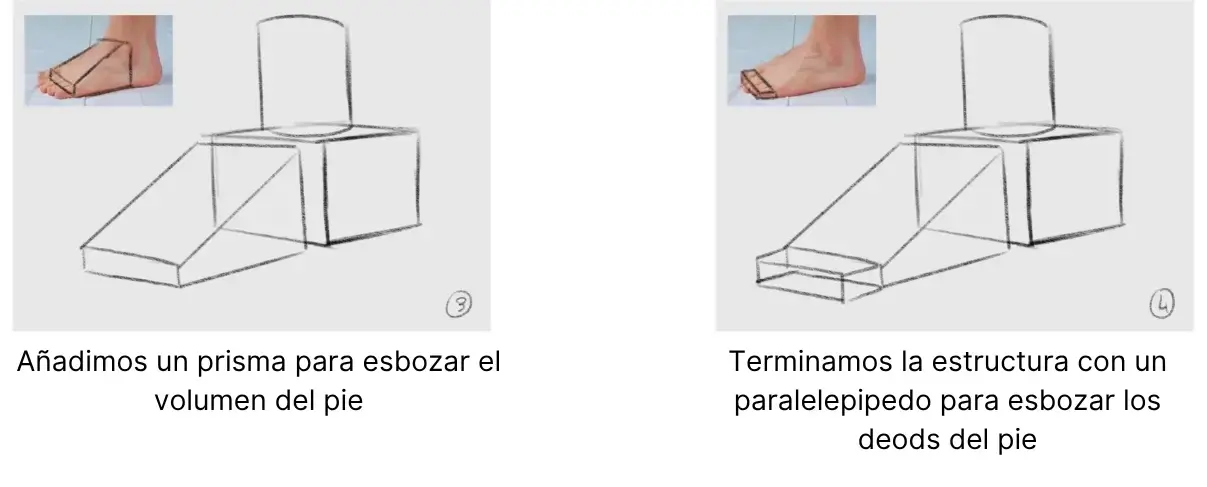 dibujar la estructura para esquematizar el volumen y los dedos del pie