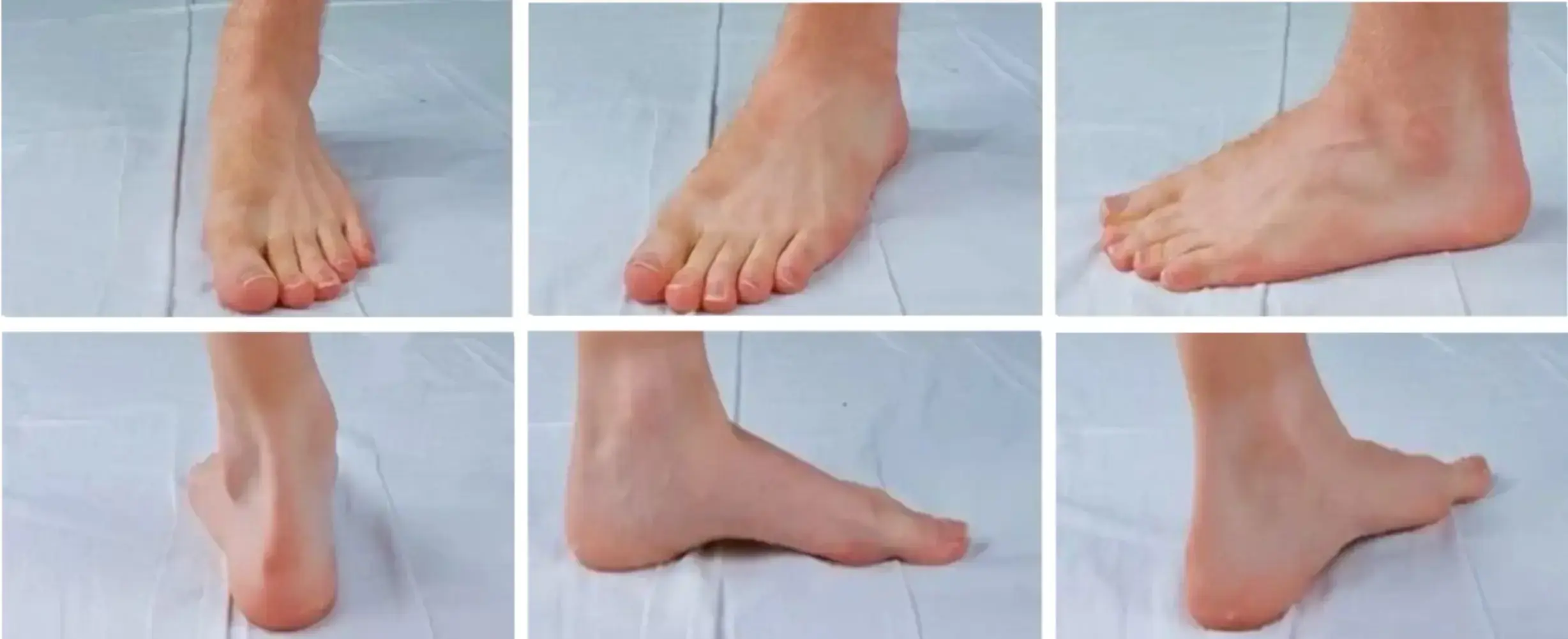 observer des photos de pieds pour les dessiner