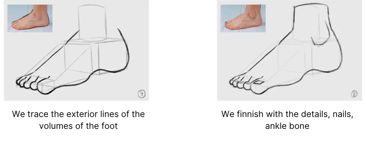 drawing of a foot from a 3/4 angle