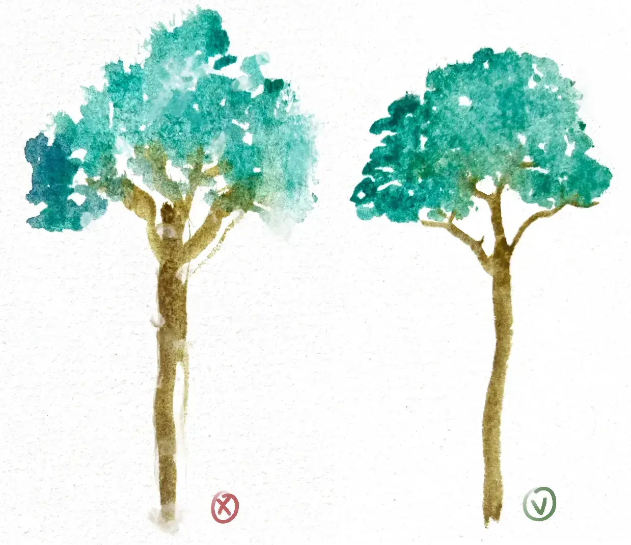 l’importance de la qualité d’un pinceau pour faire de l’aquarelle