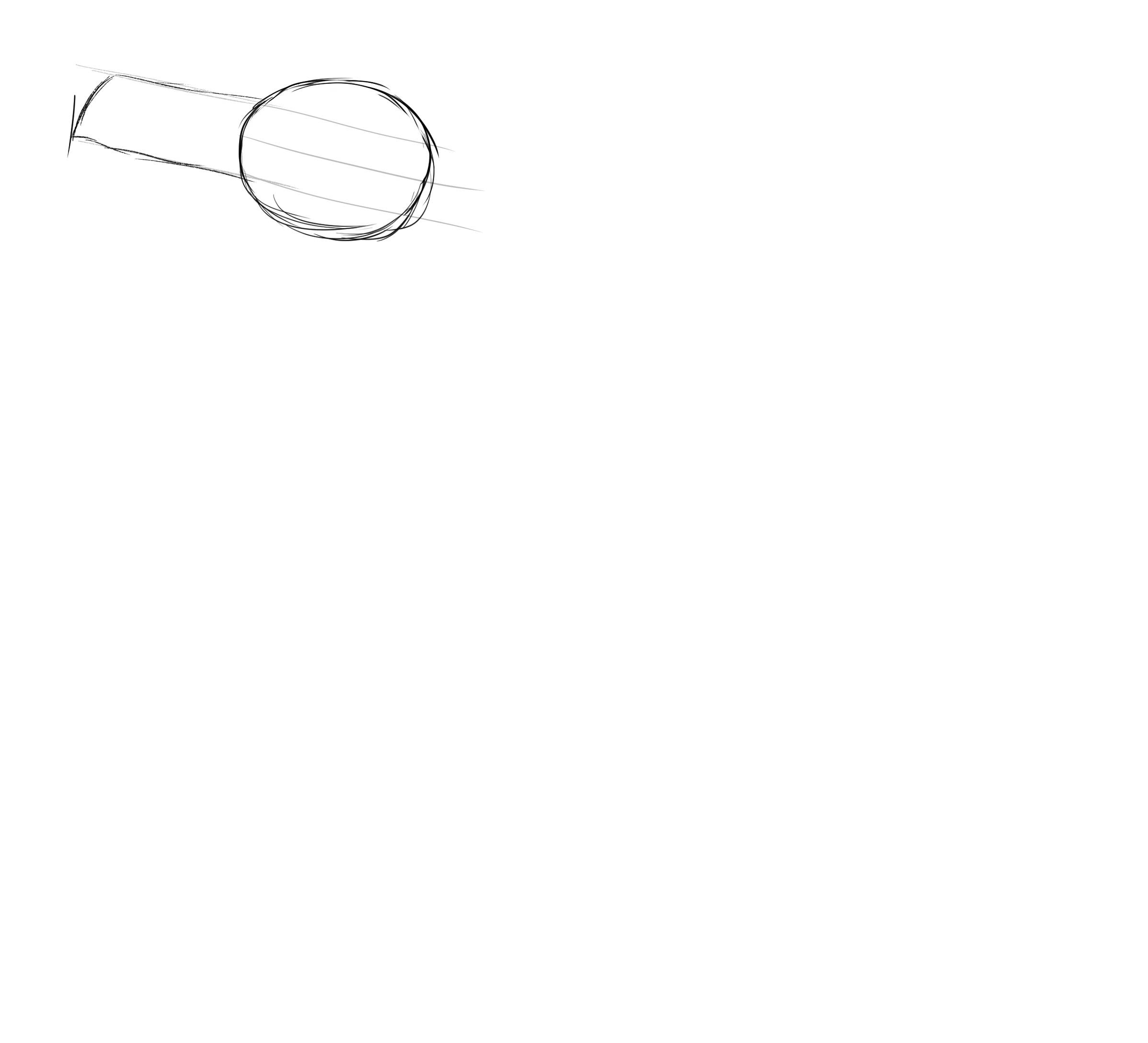 croquis du bec du pingouin