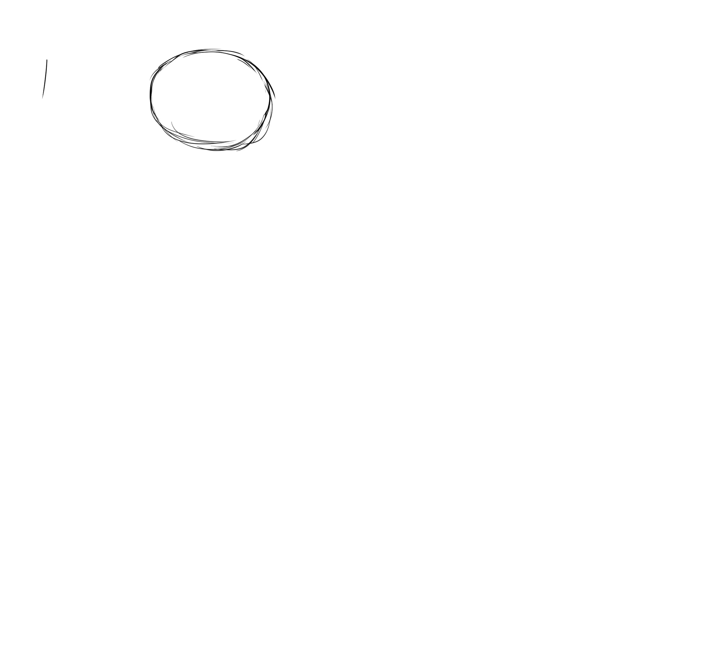 croquis du bout du bec du pingouin