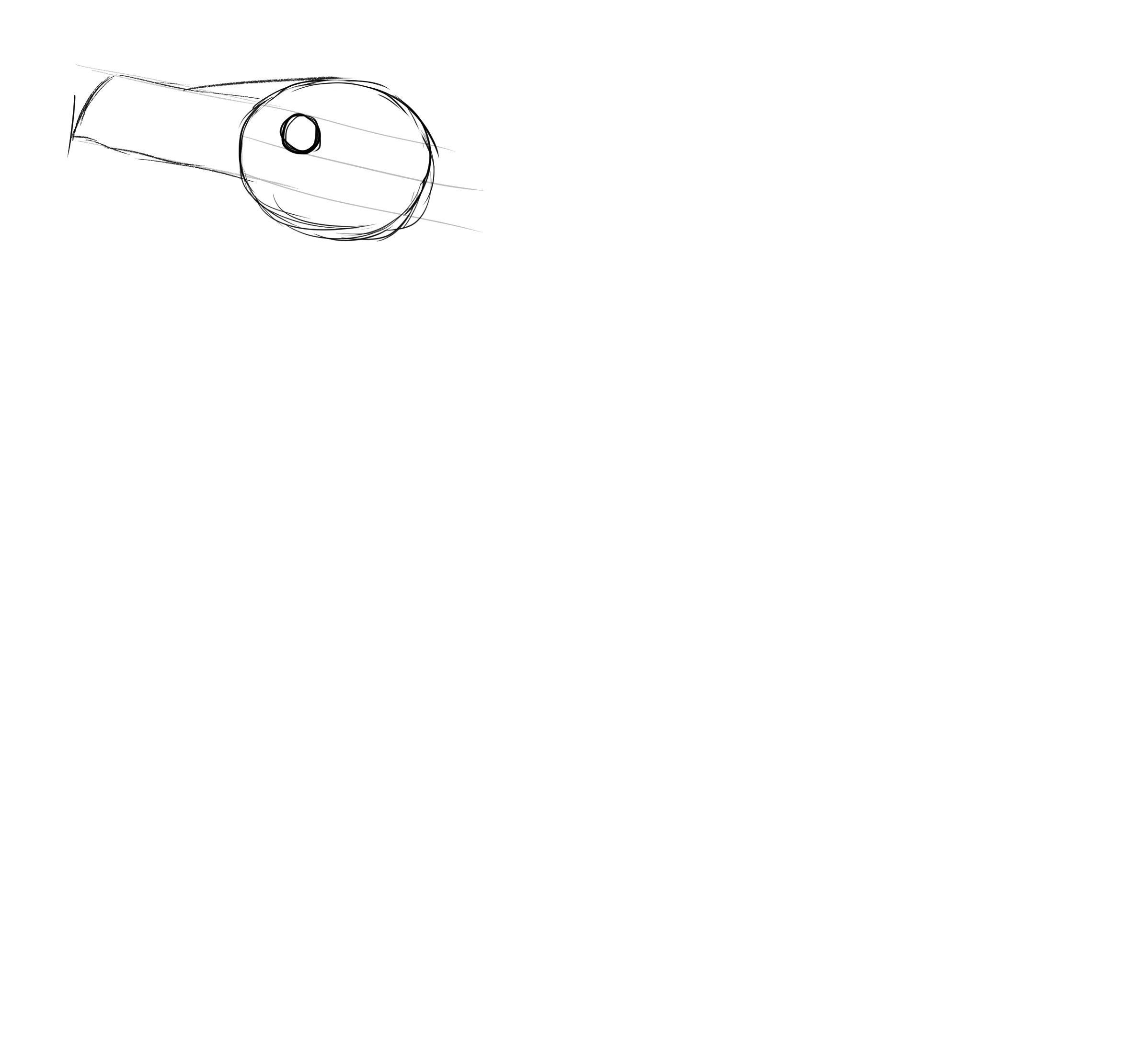croquis de l’oeil du pingouin