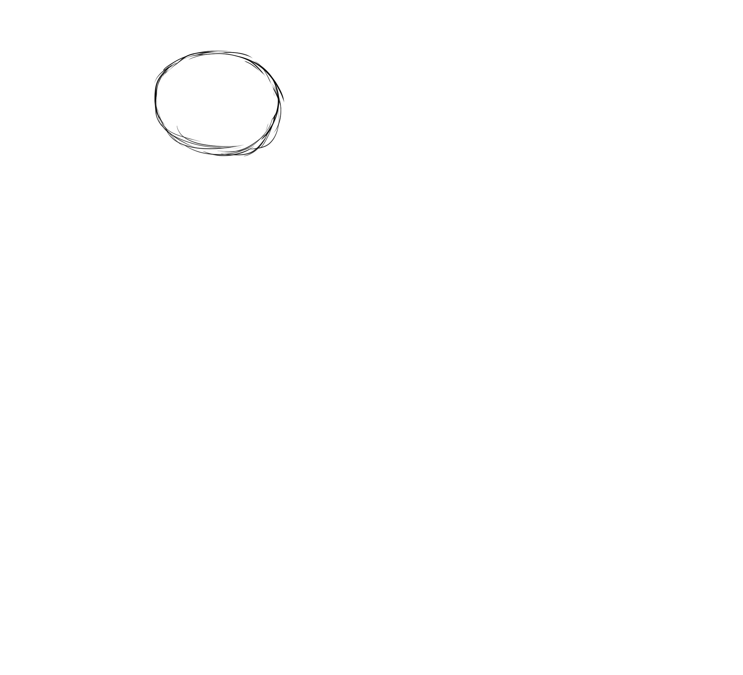 croquis de la tête du pingouin