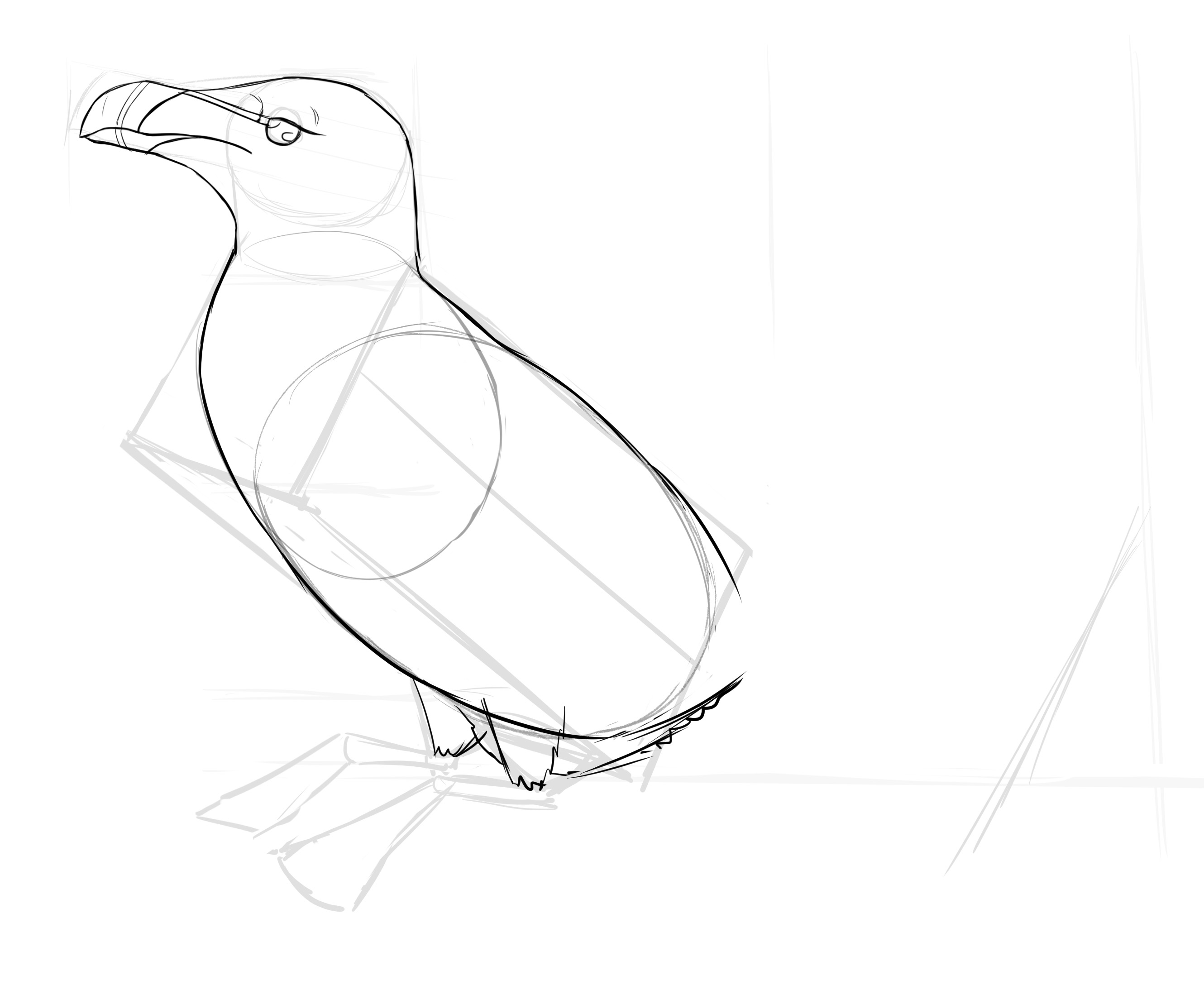 dessiner les cuisses du pingouin