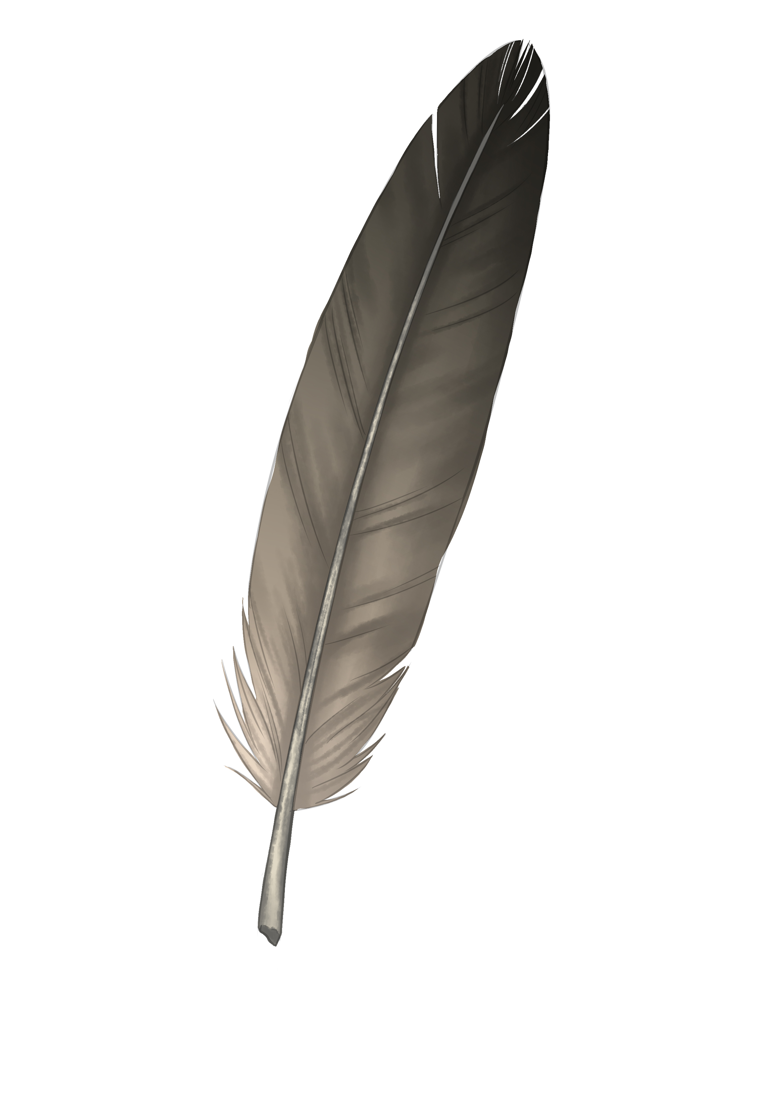 ¿Cómo dibujar una pluma?