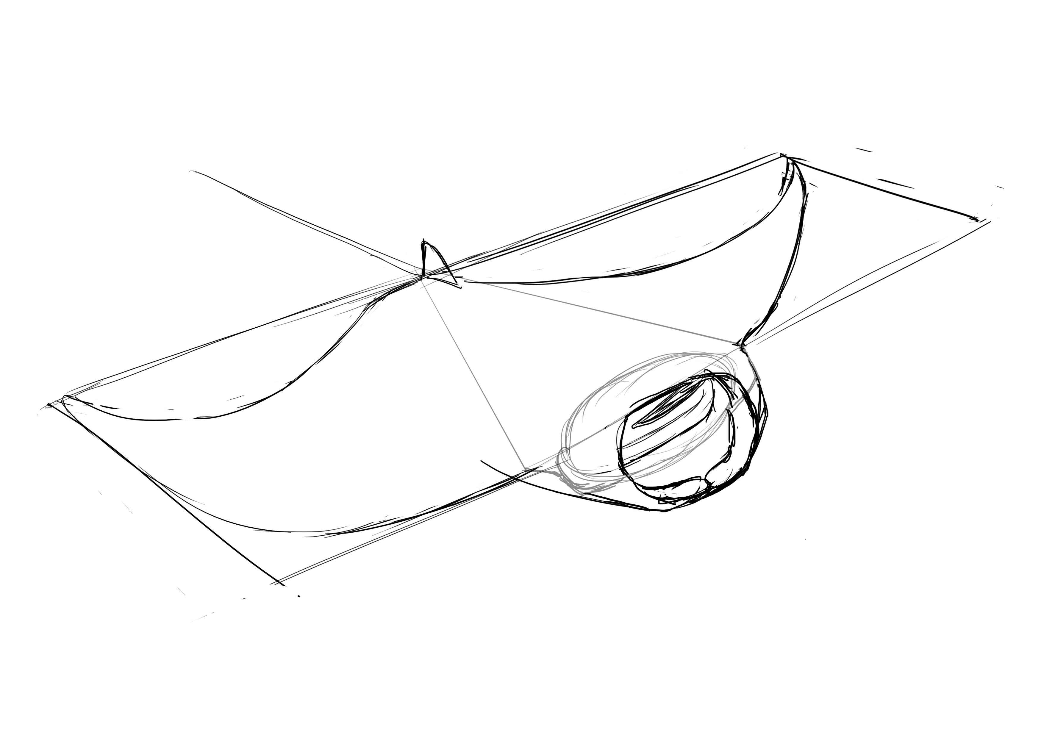 dessiner l’aiguillon de la raie