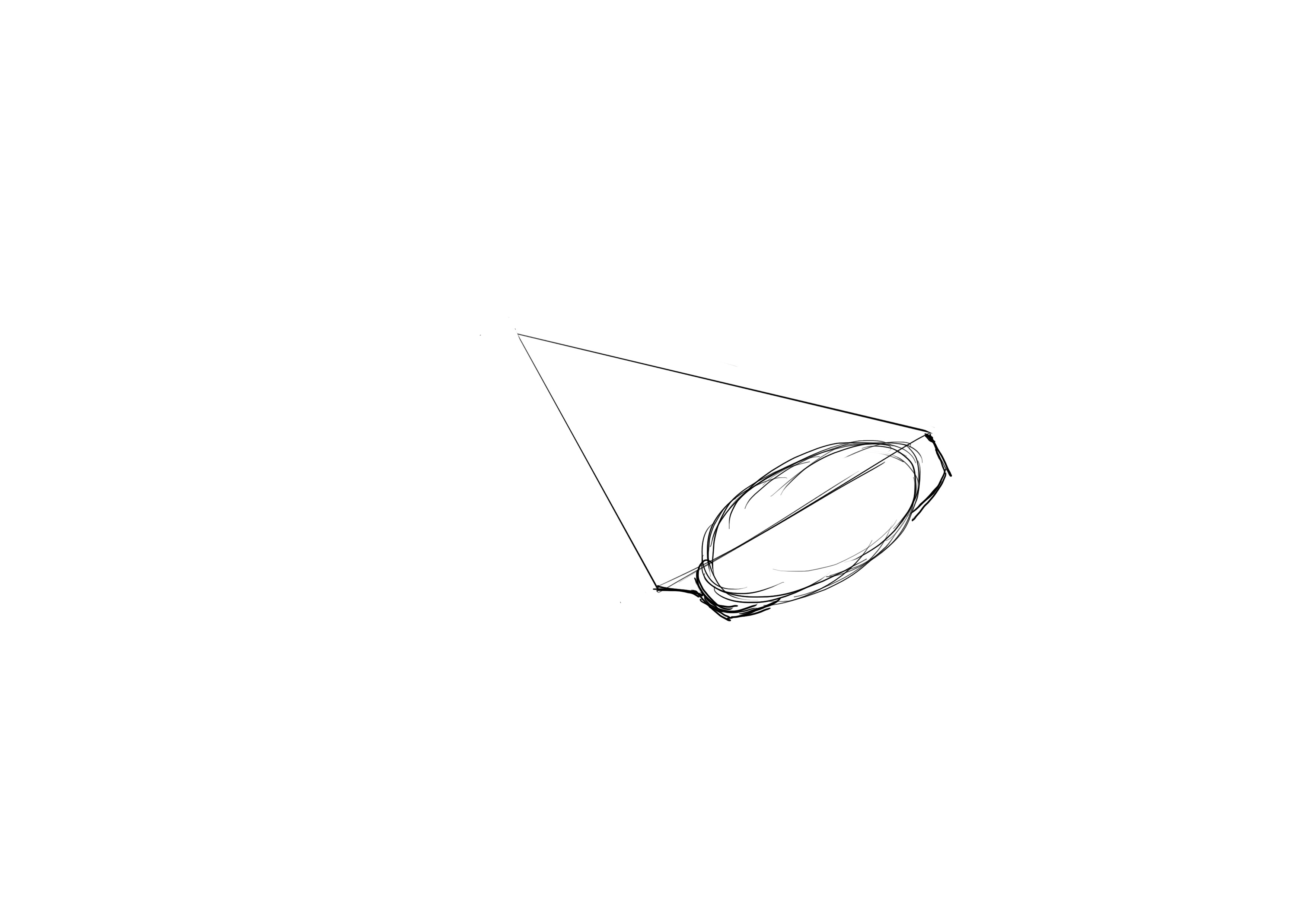 délimiter la zone des yeux de la raie