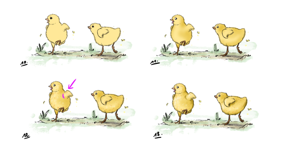 Realizar un dibujo de un pollito