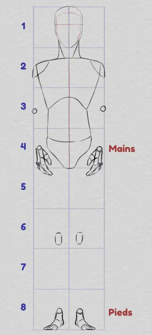 dessiner les proportions des mains et des pieds