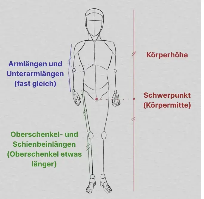 ein Körper nach relativen Proportionen zeichnen