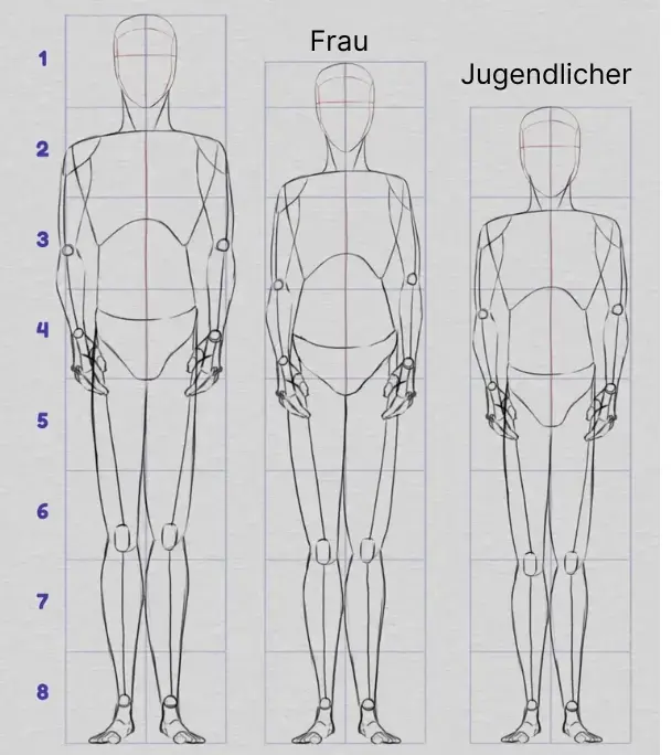 Zeichnen der Körperproportionen nach verschiedenen Körpertypen