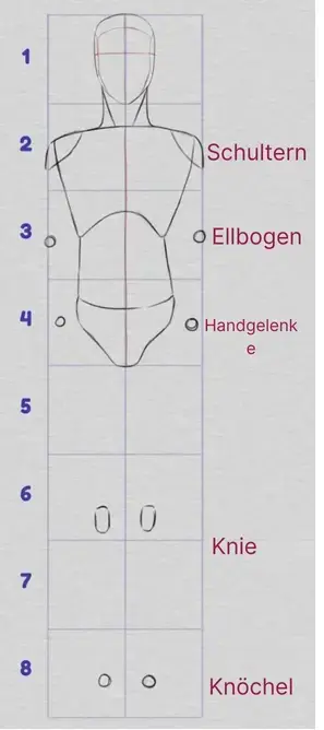 die Proportionen des Unterkörpers