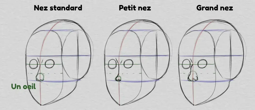 dessiner le nez et les proportions du visage