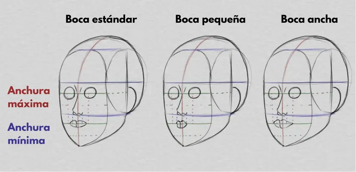 dibujar la boca y las proporciones del rostro
