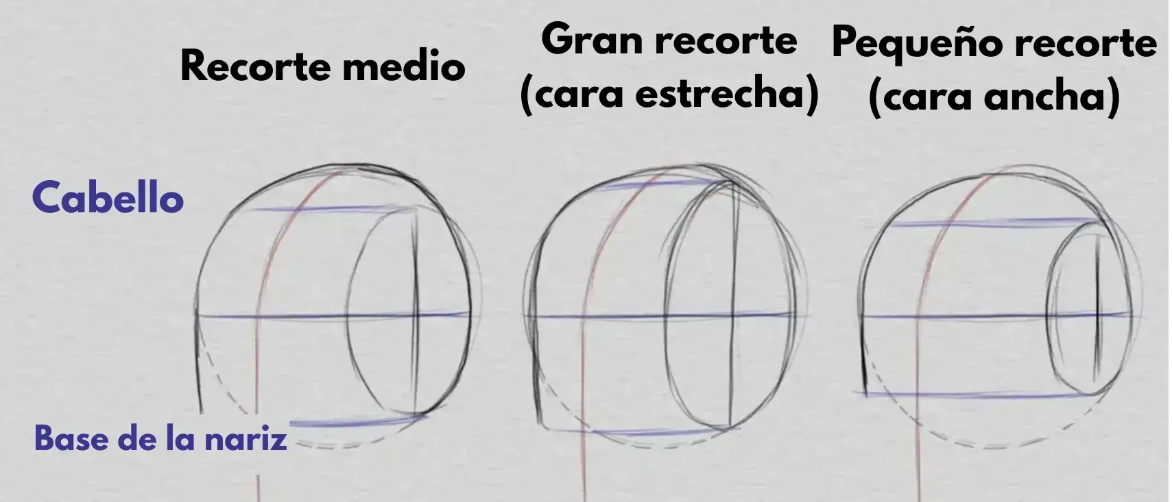 dibujar el cabello y las proporciones del rostro