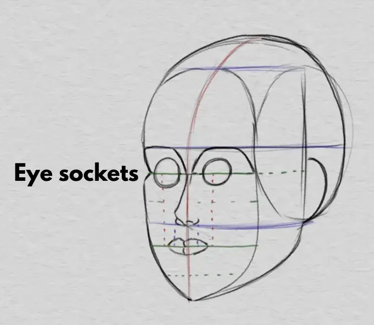 drawing the width of the mouth and the proportions of the face