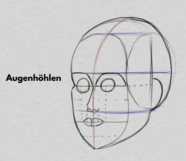 die Breite des Mundes und die Proportionen des Gesichts zeichnen