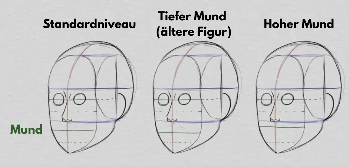 die Ohren und die Proportionen des Gesichts zeichnen