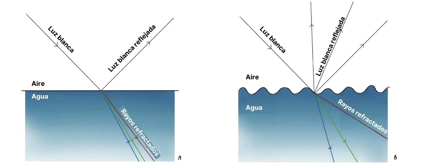 esquema del agua y sus reflejos