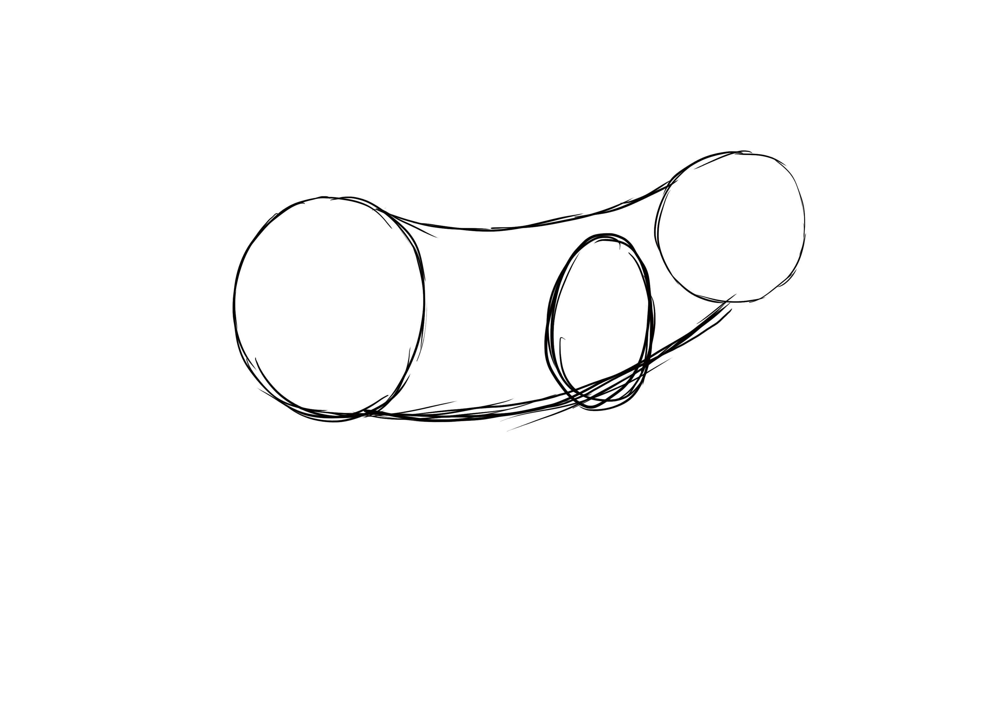 dessiner le croquis du ventre du renard