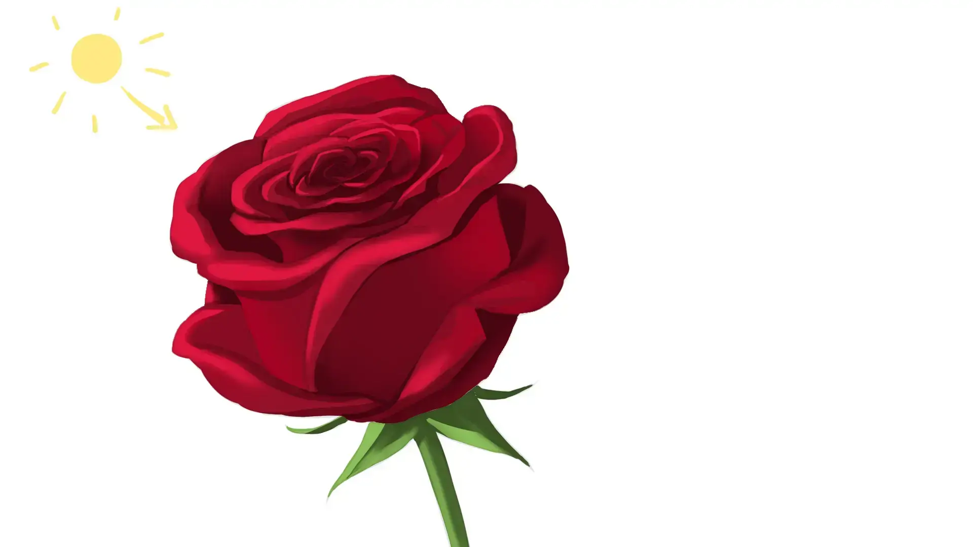 ¿Cómo dibujar una rosa?