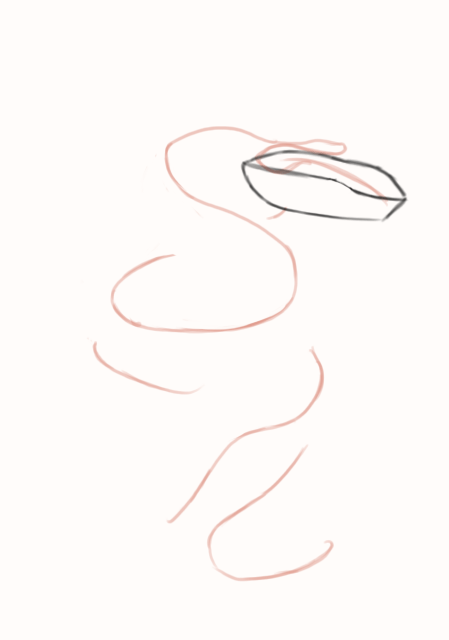 Dessin de la tête du serpent 2