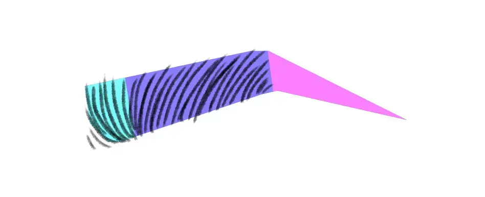 dessiner le corps d’un sourcil
