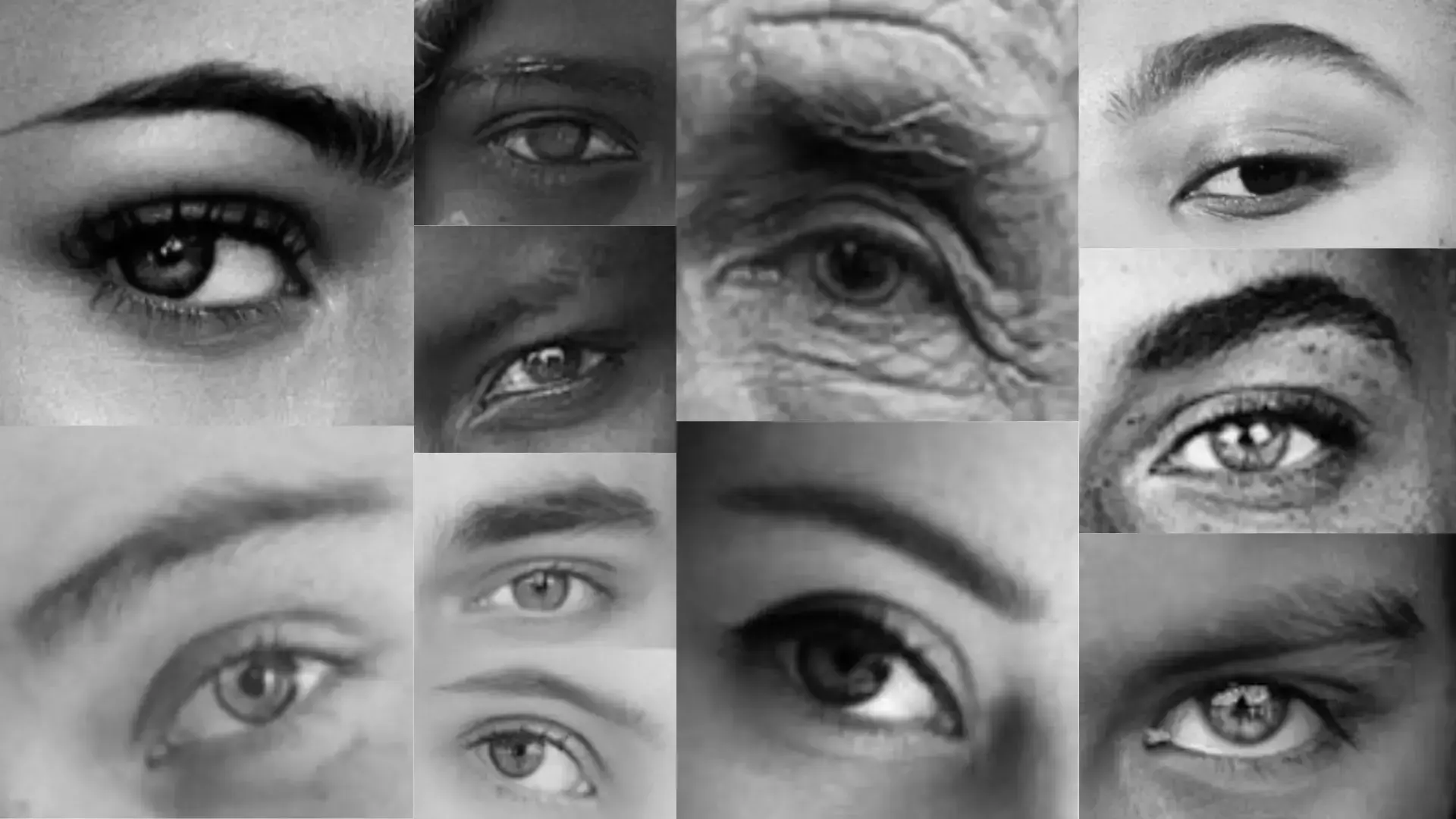 image de sourcils
