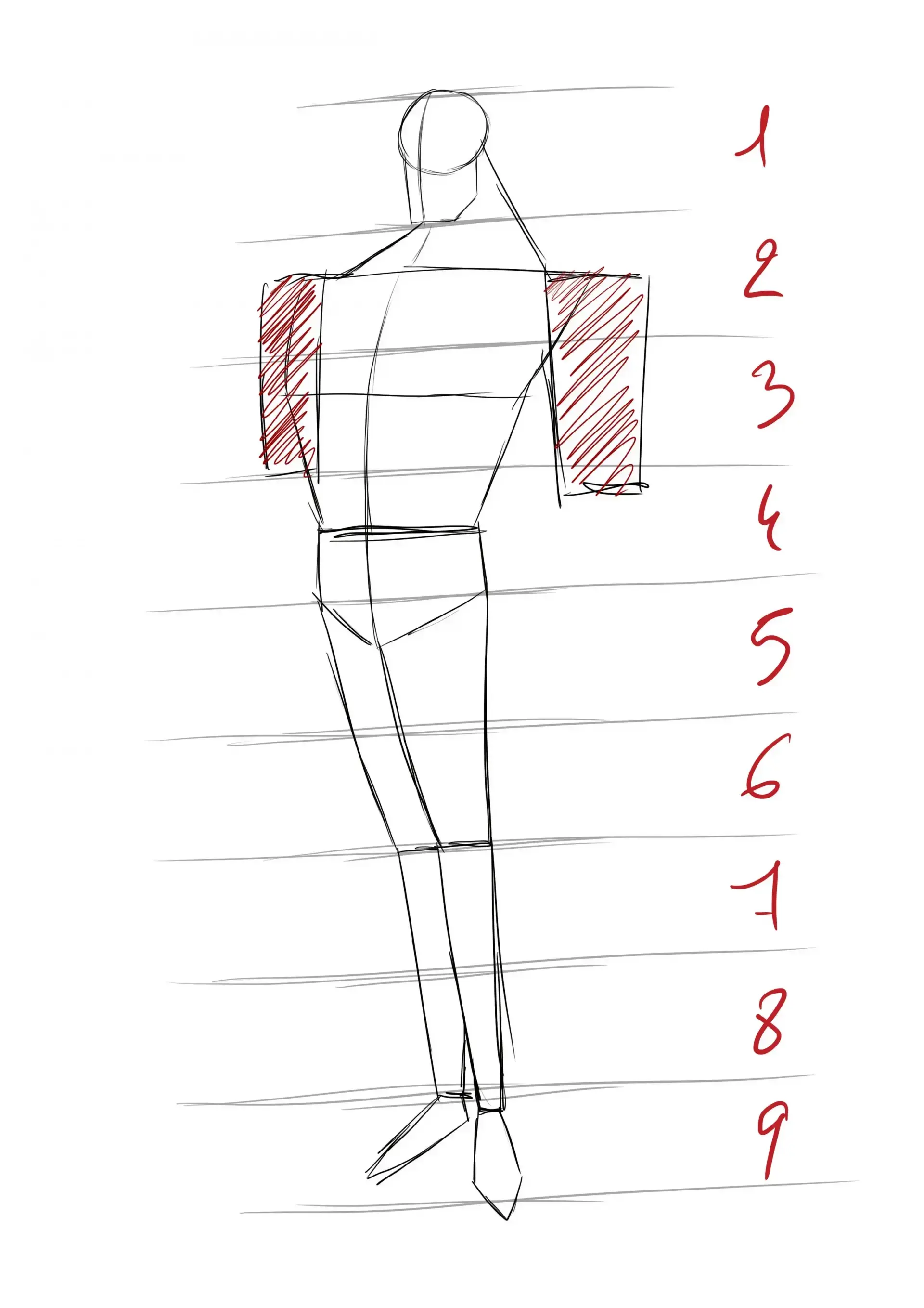 la base du dessin avec les bras de superman