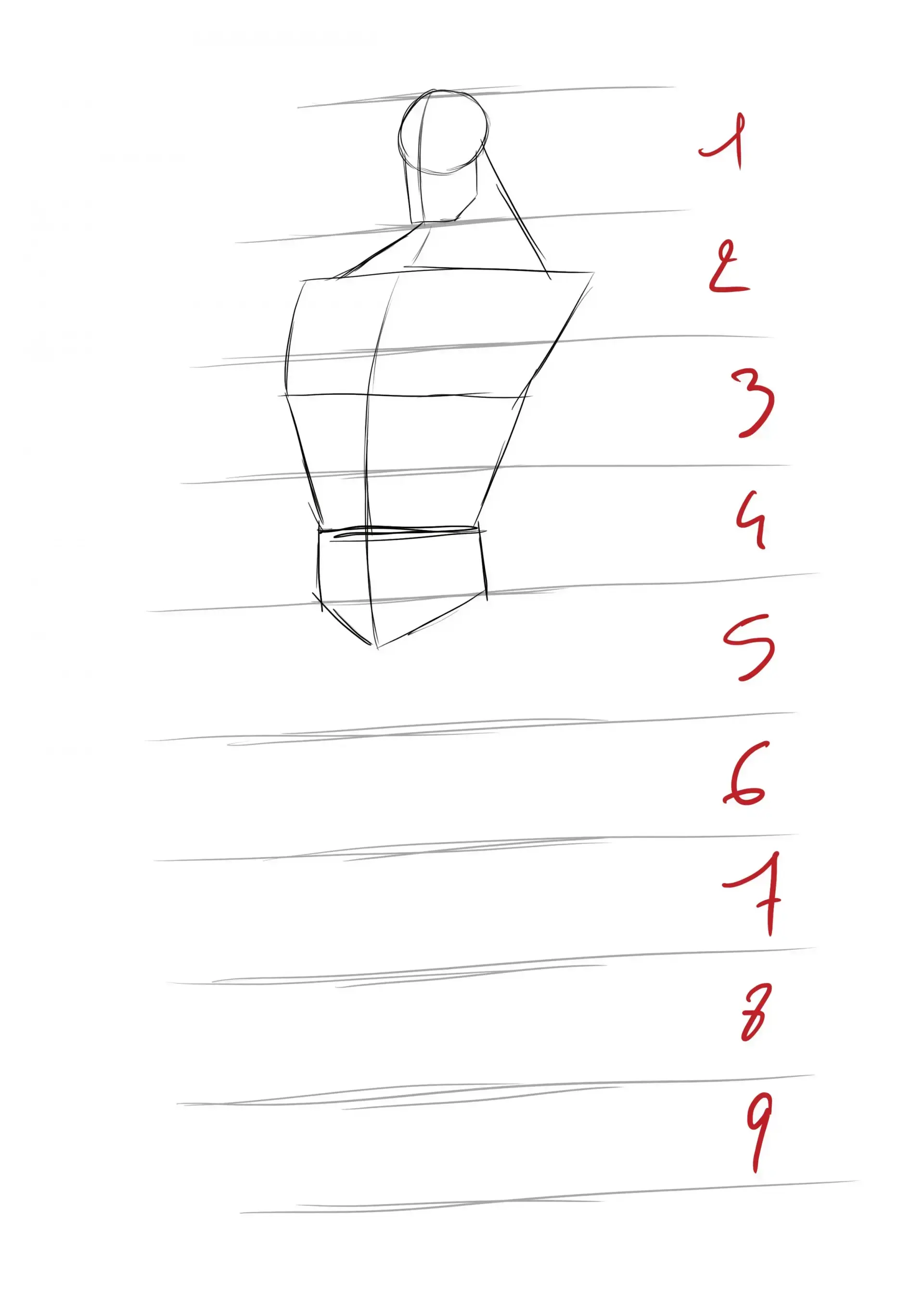 la base du dessin avec le torse de superman