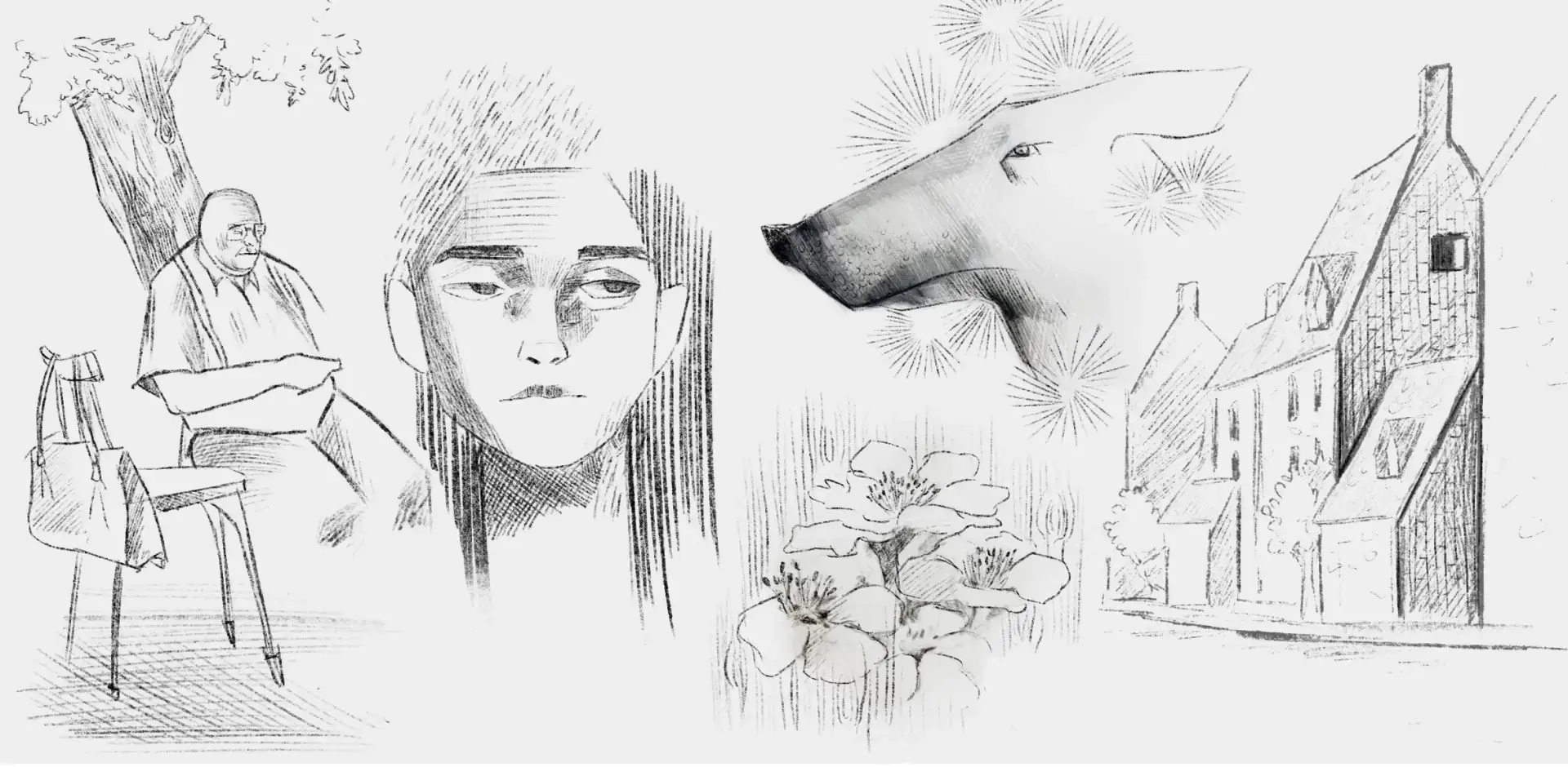 l’observation pour dessiner