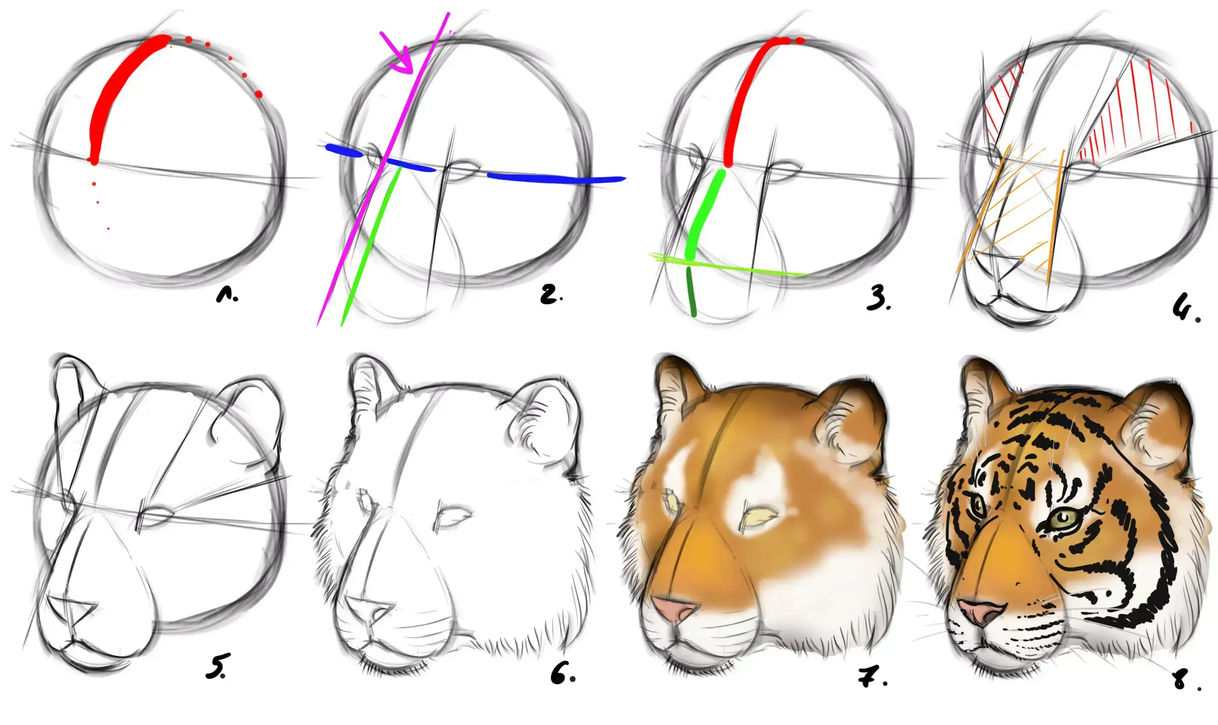 Aprende a Dibujar una Cabeza de Tigre Realista: Guía Definitiva