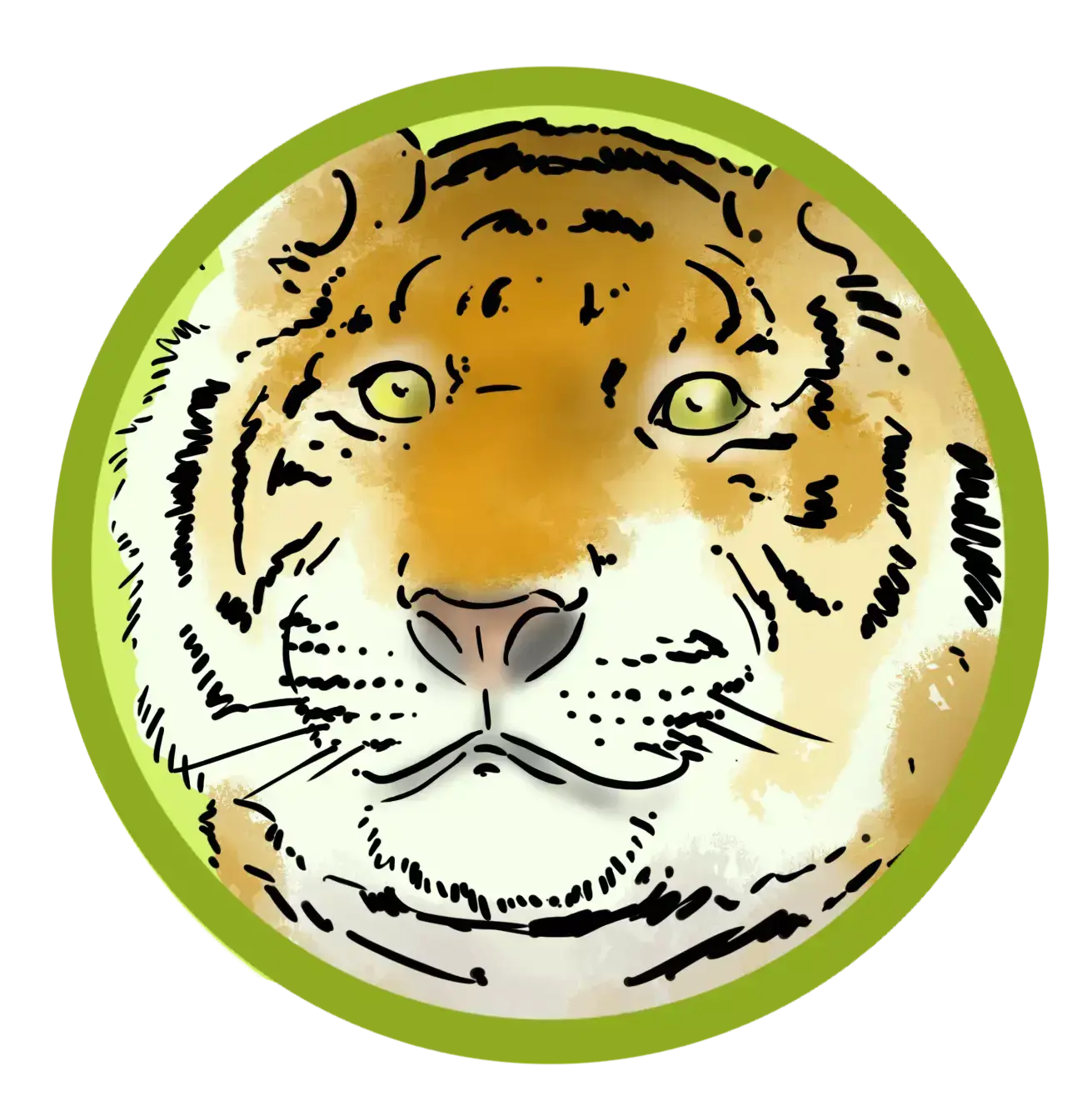 image of a tiger's head